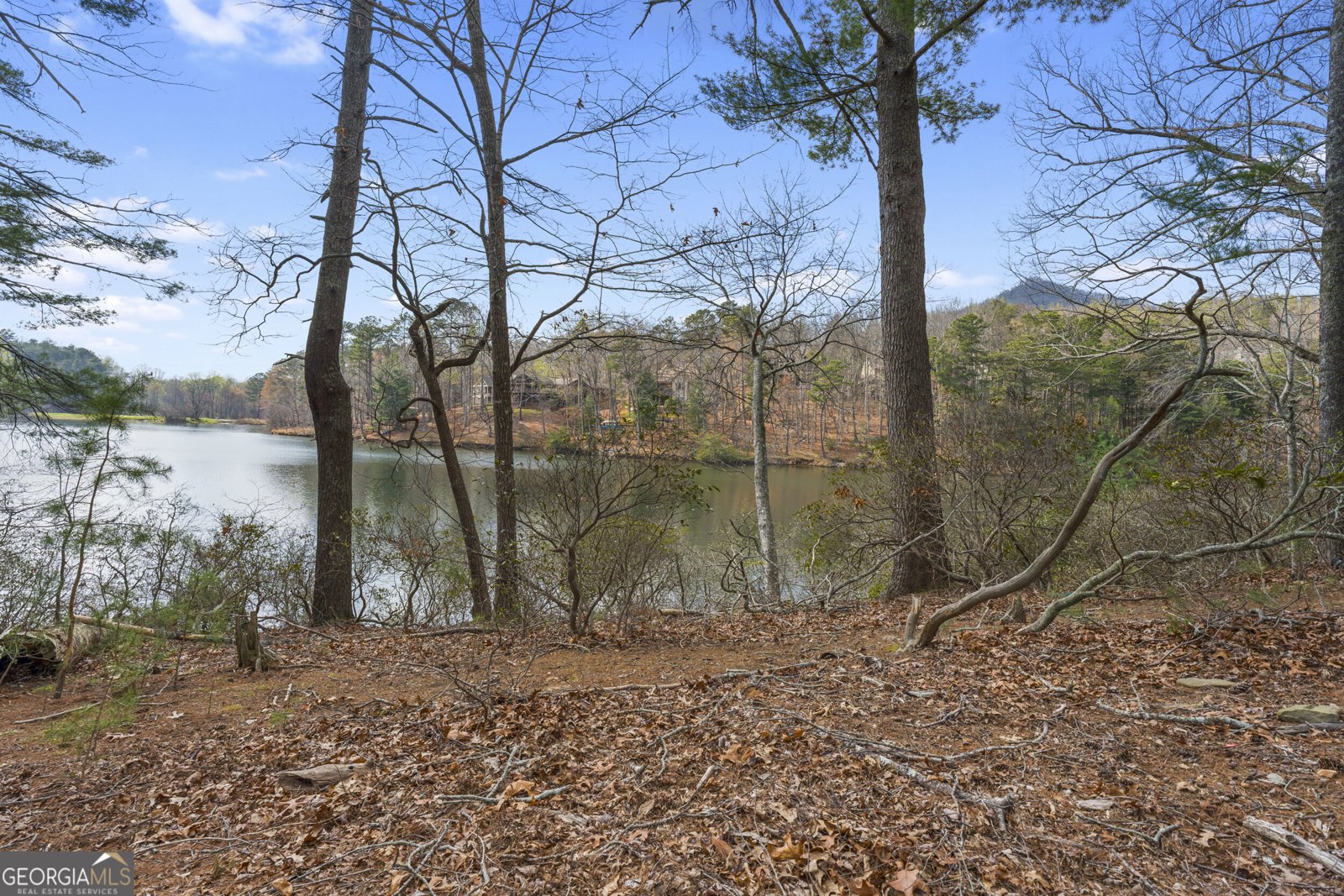 66 Tamarack Point Jasper - Photo 62