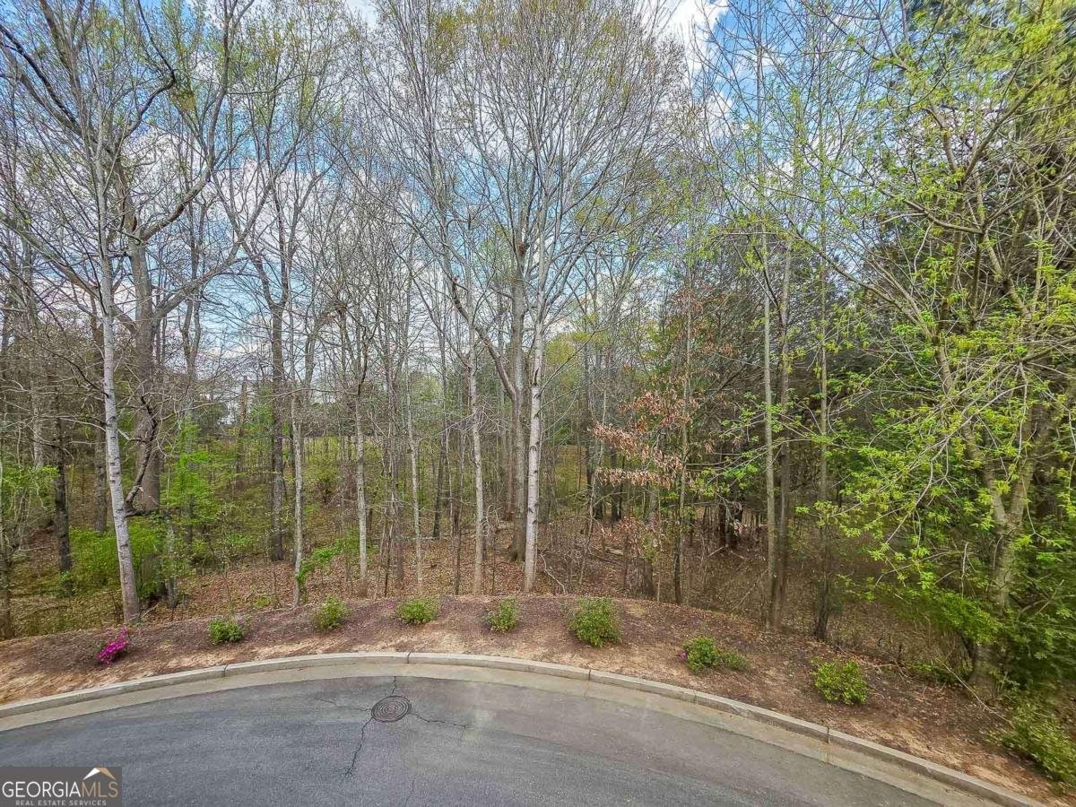 7910 Willoughby Court Alpharetta - Photo 29