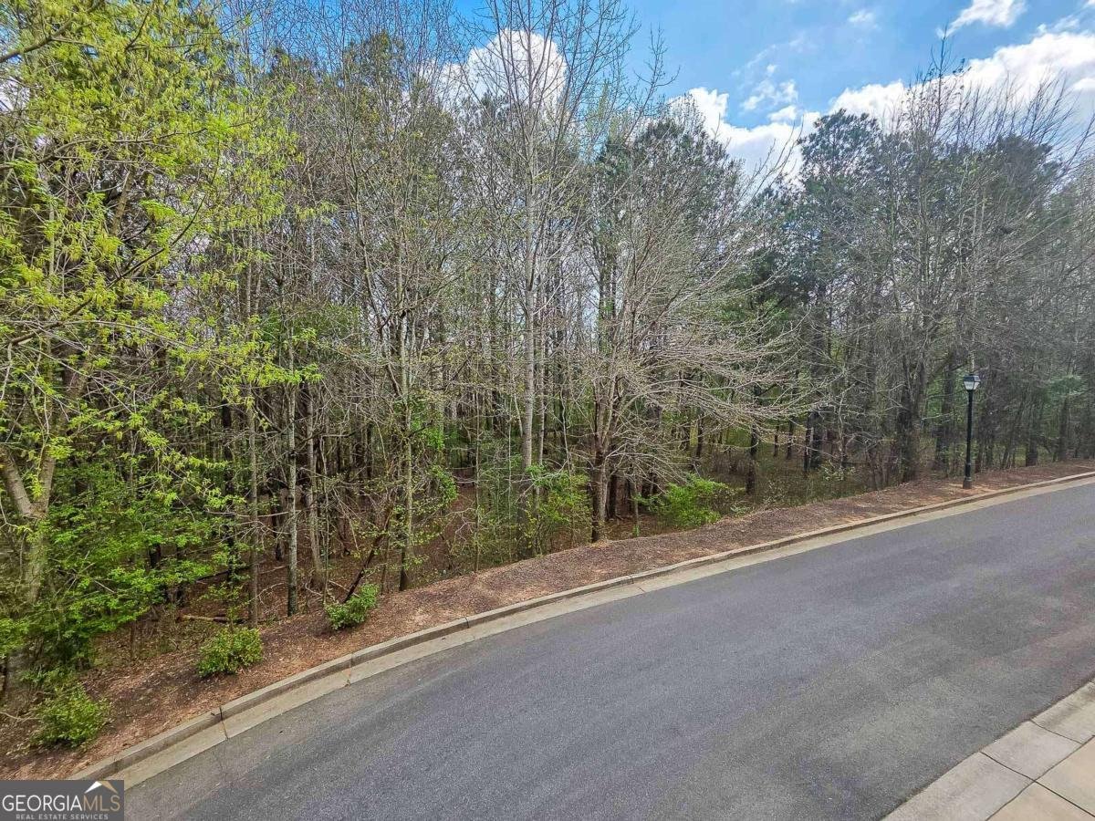 7910 Willoughby Court Alpharetta - Photo 30