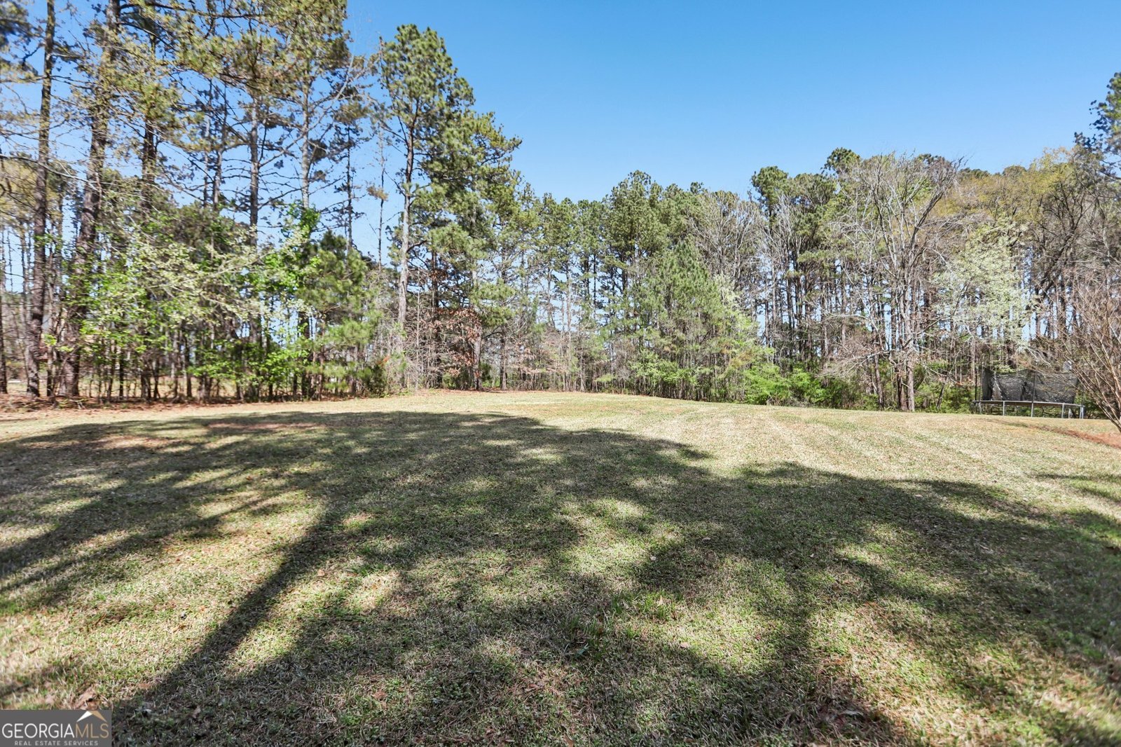 136 Hanes Creek Drive Stockbridge - Photo 37