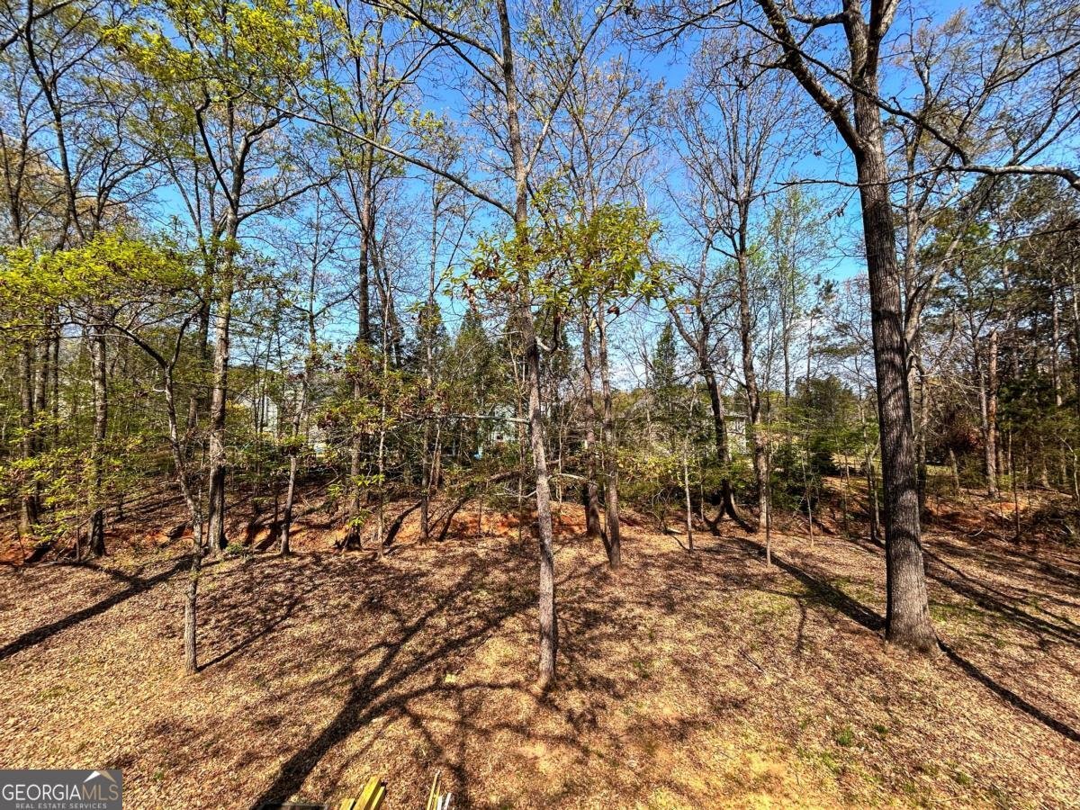 160 Kirkwood Drive Athens - Photo 40