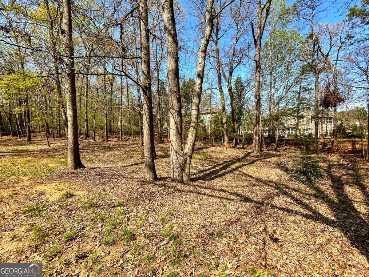 160 Kirkwood Drive Athens - Photo 44