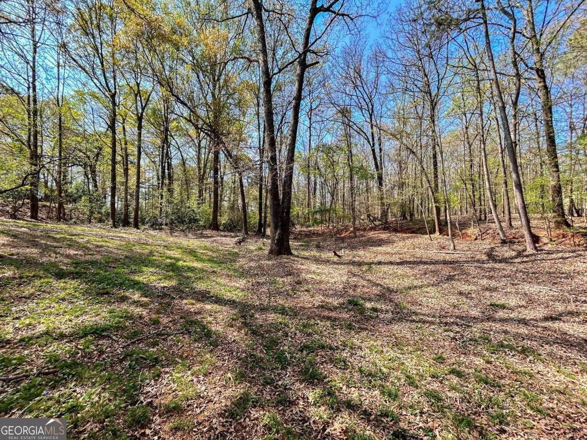 160 Kirkwood Drive Athens - Photo 45