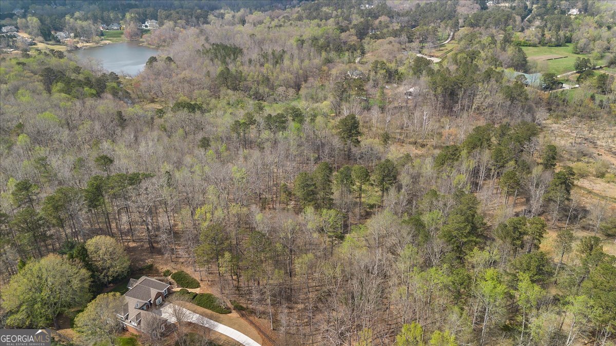 565 Kings County Court Milton - Photo 60