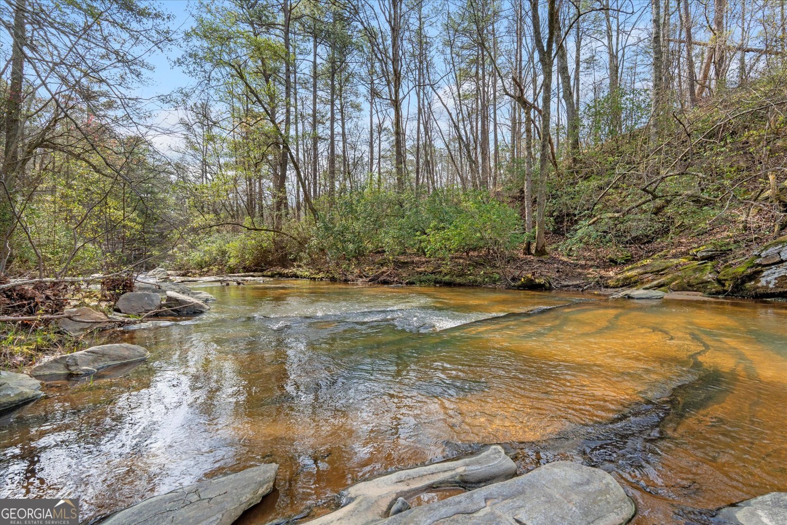 1290 Davis Road Carrollton - Photo 19