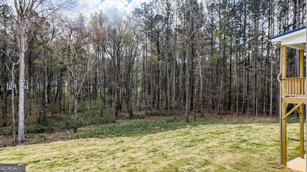 88 Carolyn Path Rockmart - Photo 64