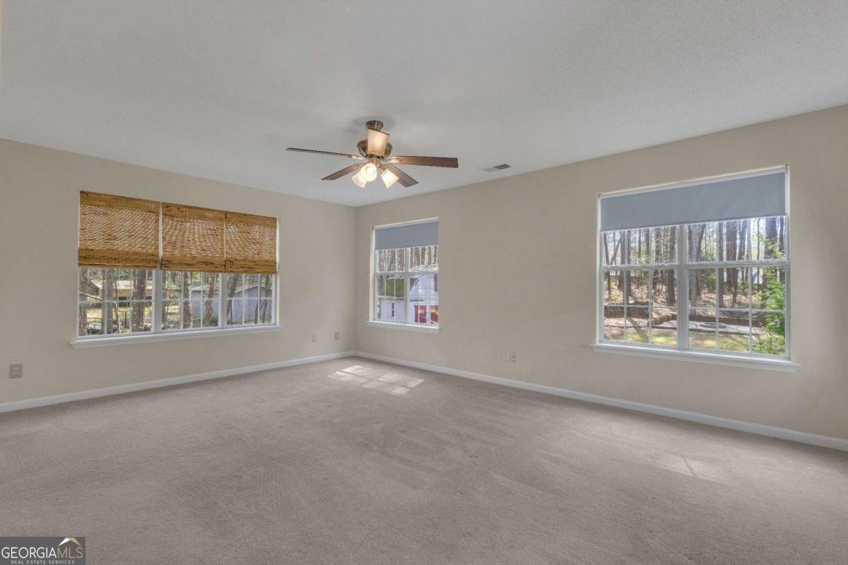 20 Tipperary Trail Sharpsburg - Photo 28