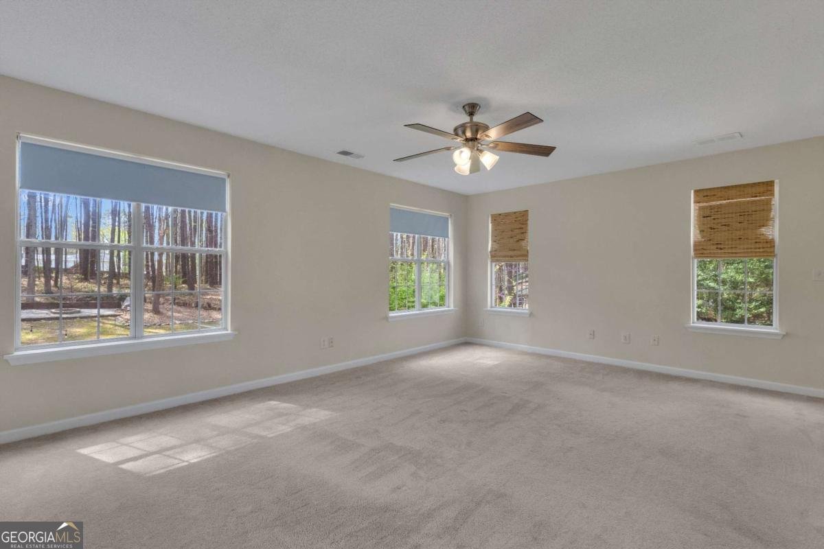 20 Tipperary Trail Sharpsburg - Photo 31