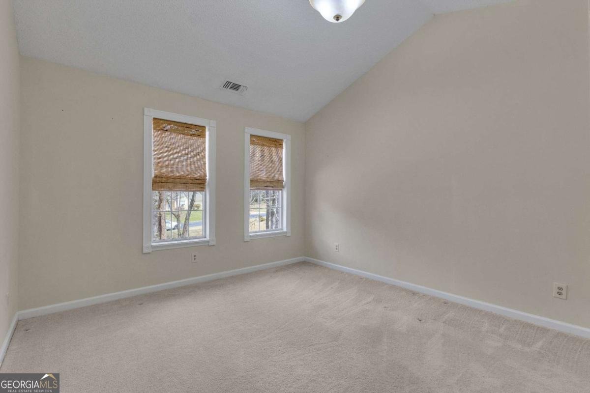 20 Tipperary Trail Sharpsburg - Photo 37