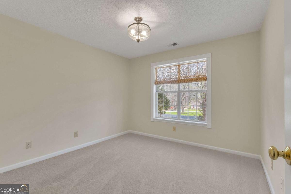 20 Tipperary Trail Sharpsburg - Photo 41