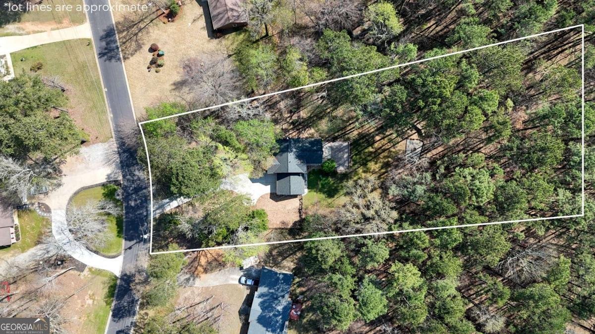 20 Tipperary Trail Sharpsburg - Photo 57