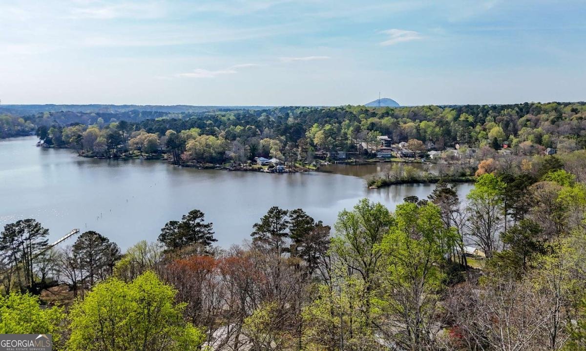 4380 Cary Drive Snellville - Photo 37