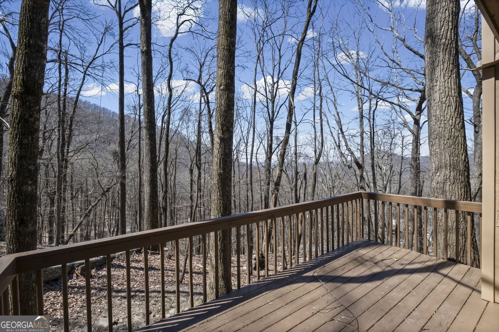 764 Chestnut Cove Trail Jasper - Photo 17