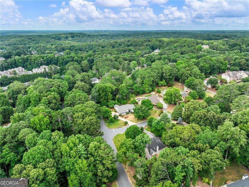 5195 FOREST RUN Trace Alpharetta - Photo 59