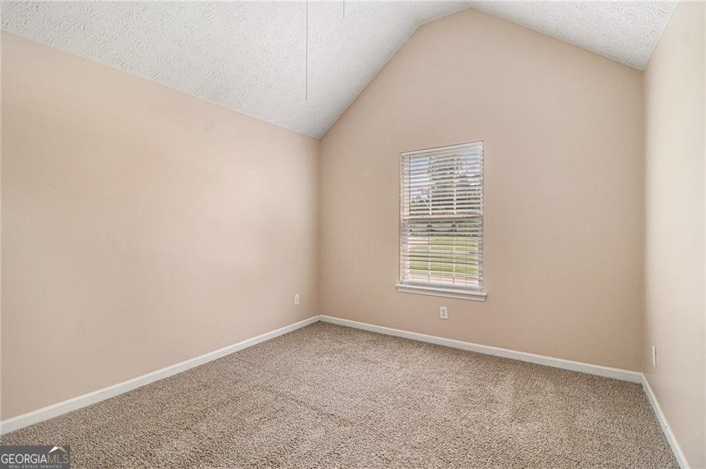 171 Barrington Farms Parkway Sharpsburg - Photo 21