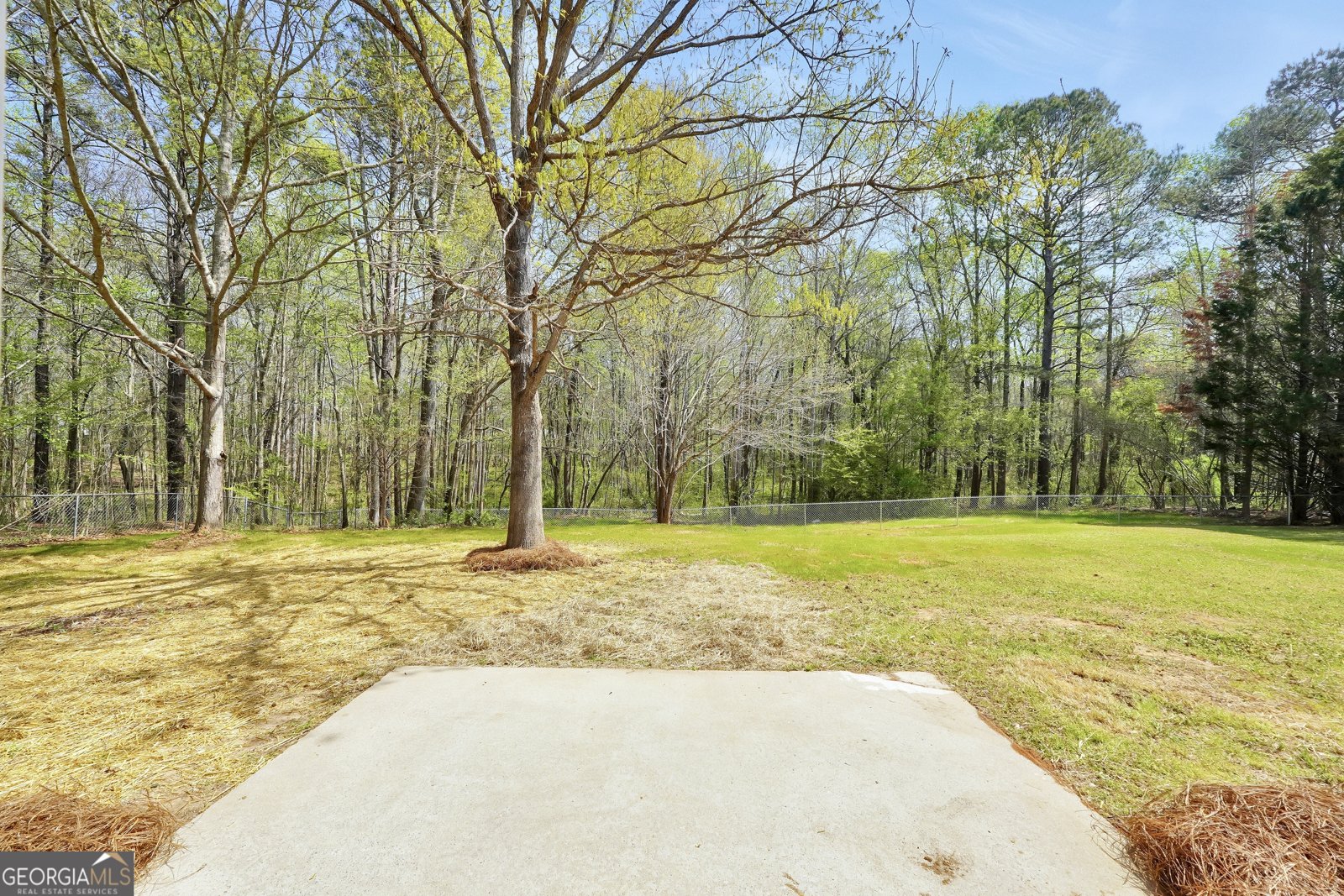 109 William Court Jenkinsburg - Photo 31