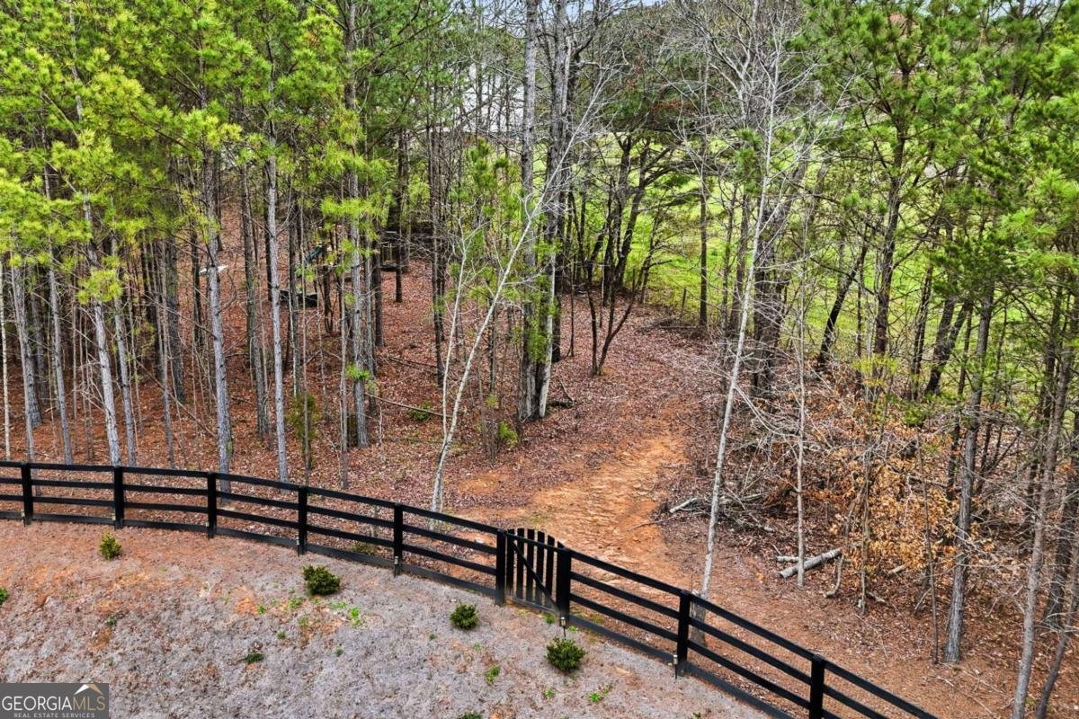 503 London Road Ball Ground - Photo 44