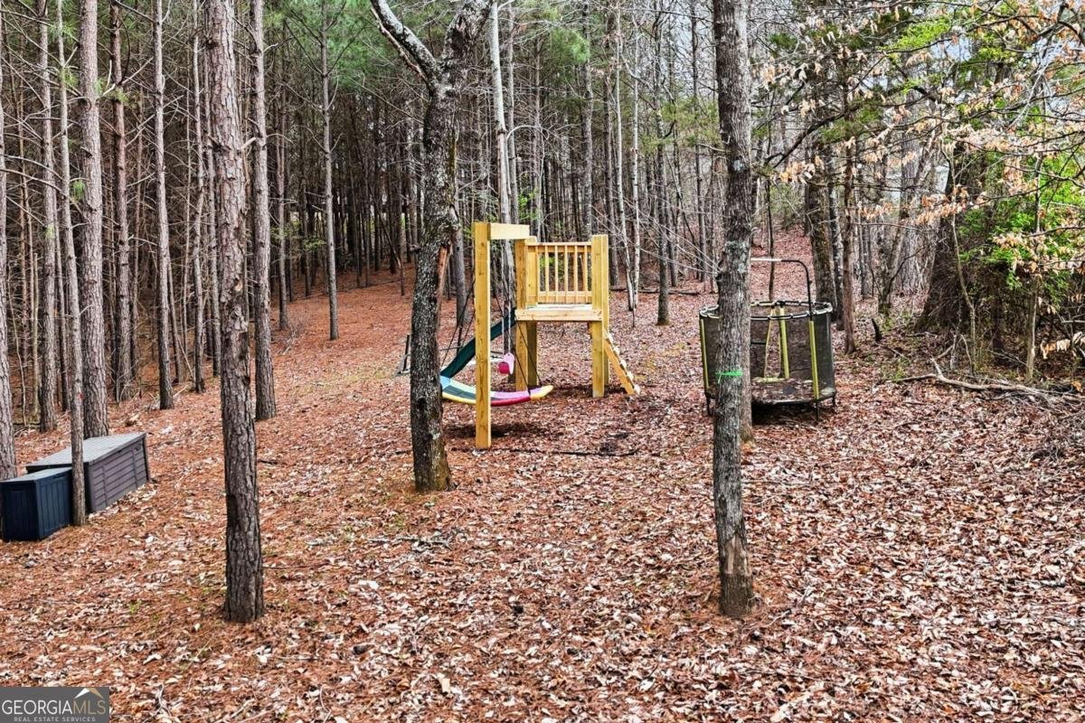 503 London Road Ball Ground - Photo 46