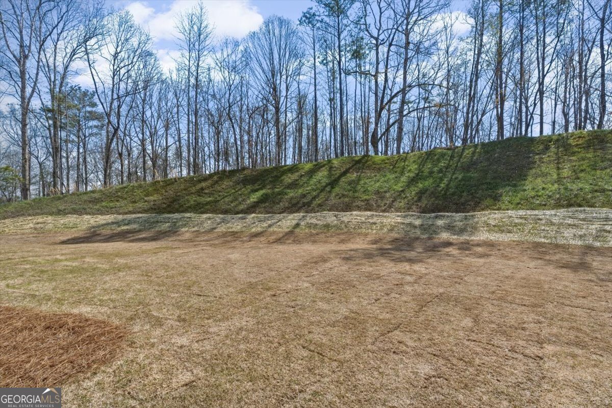 7004 Foundry Drive Woodstock - Photo 45