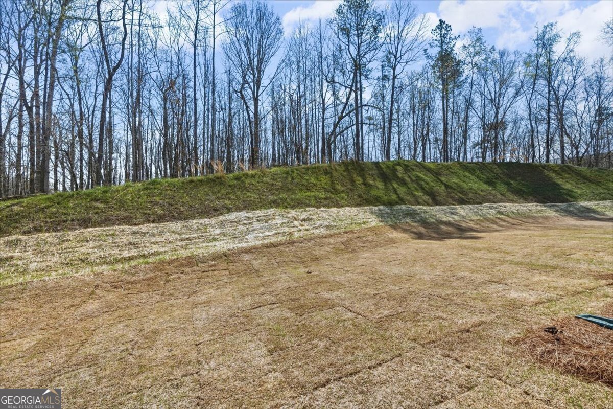 7004 Foundry Drive Woodstock - Photo 46