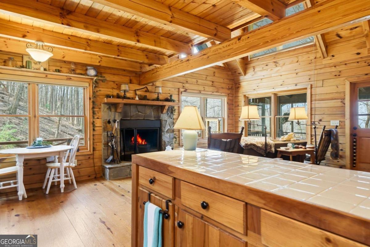 947 Skyview Drive Ellijay - Photo 10