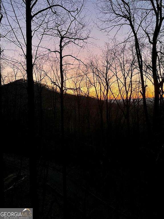 947 Skyview Drive Ellijay - Photo 28