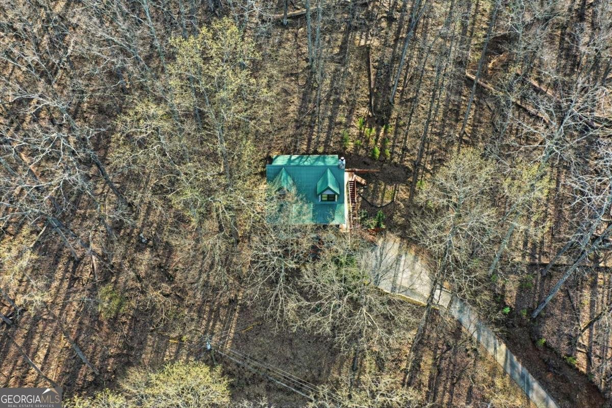 947 Skyview Drive Ellijay - Photo 29