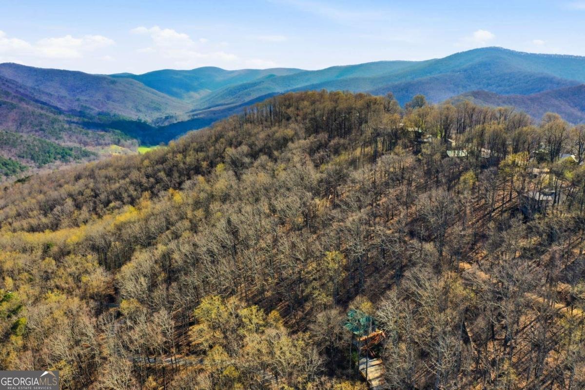 947 Skyview Drive Ellijay - Photo 30