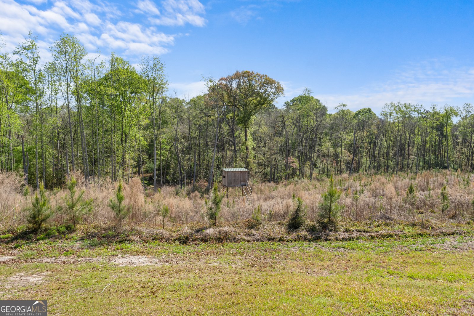 60 Tucker Road Claxton - Photo 36