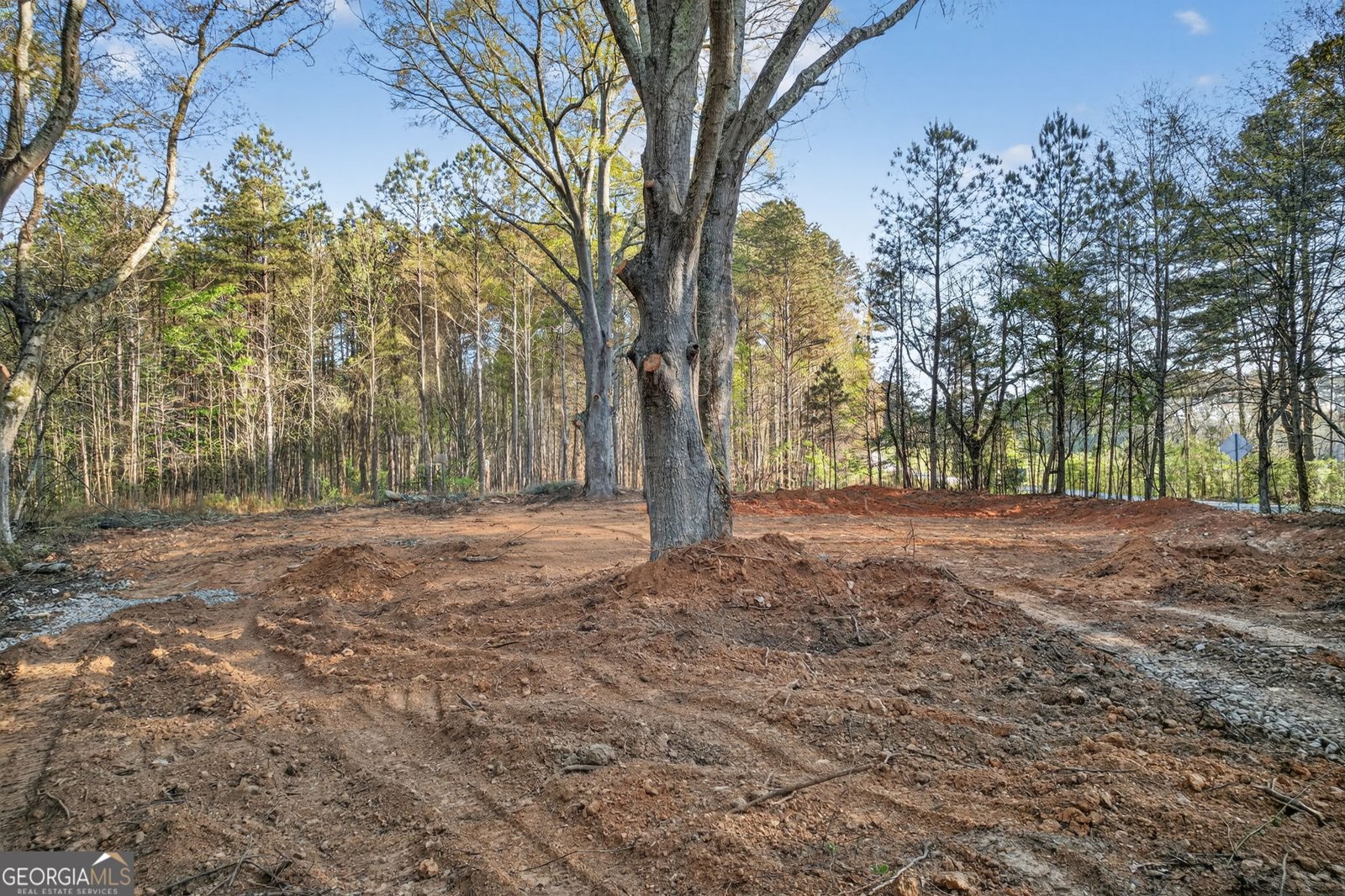 3230 Steadman Road Tallapoosa - Photo 41