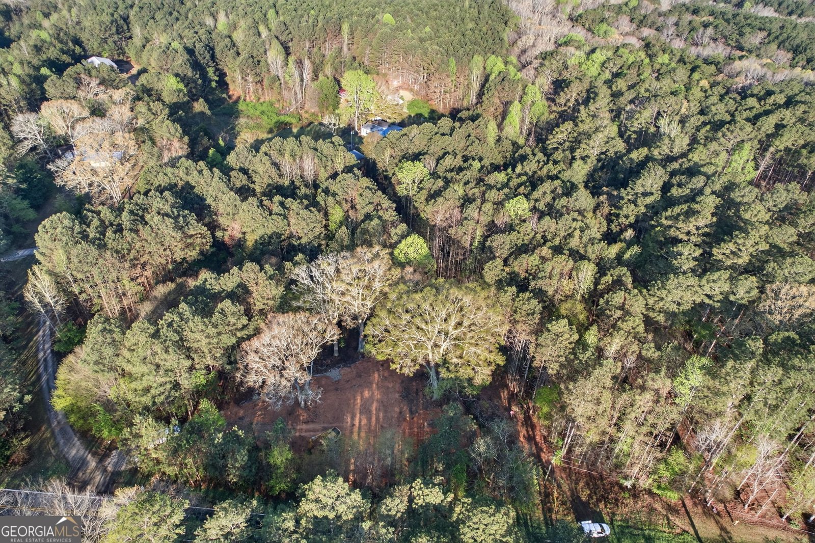 3230 Steadman Road Tallapoosa - Photo 45