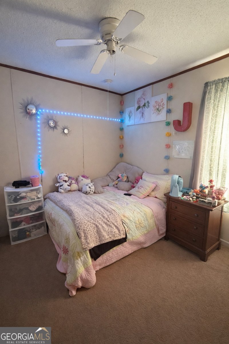 2811 Lyons Center Road Lyons - Photo 8