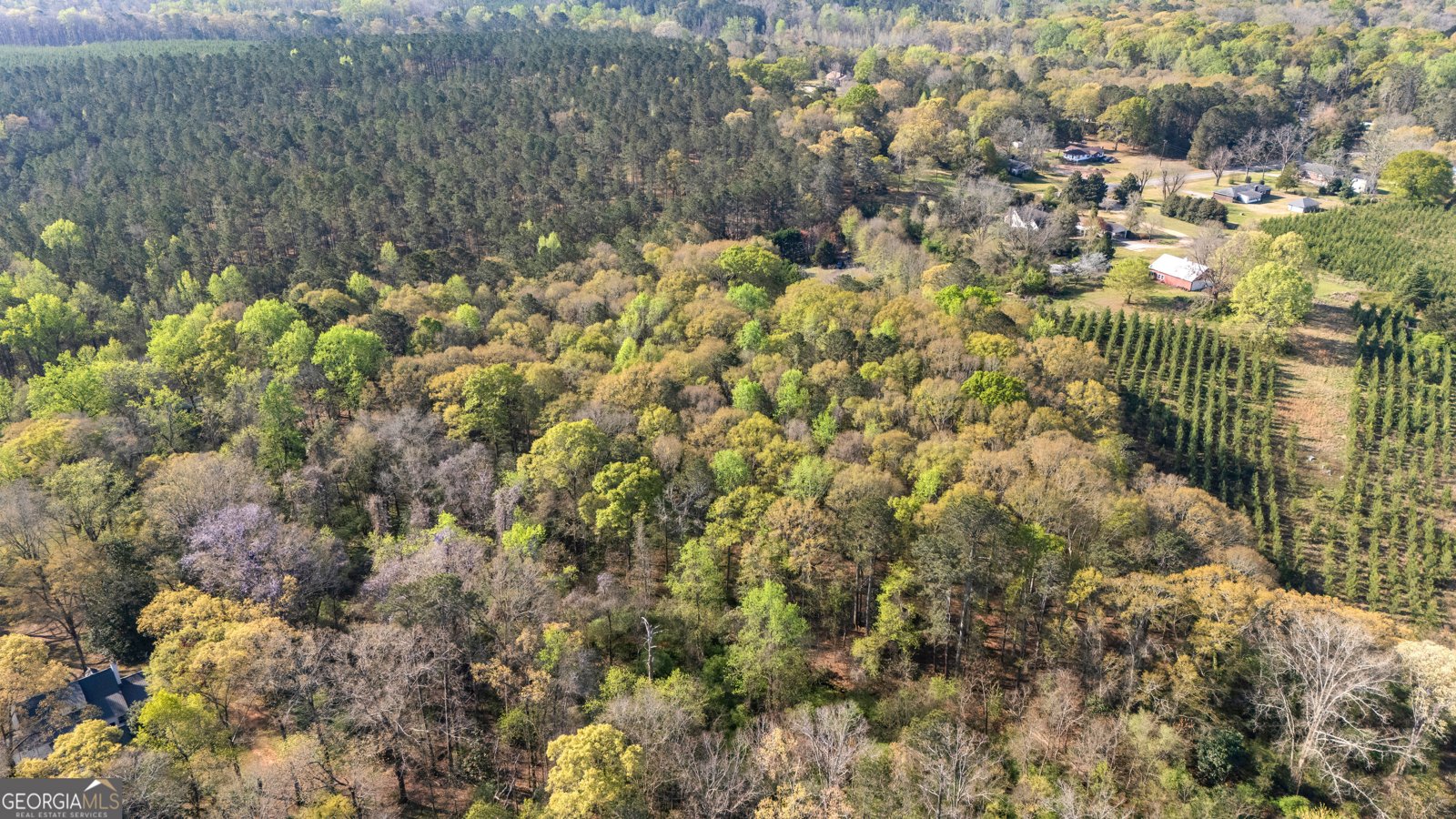 2537 Barnesville Highway Thomaston - Photo 32