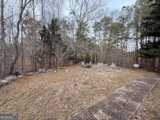 609 Old McCoy Place Waleska - Photo 19