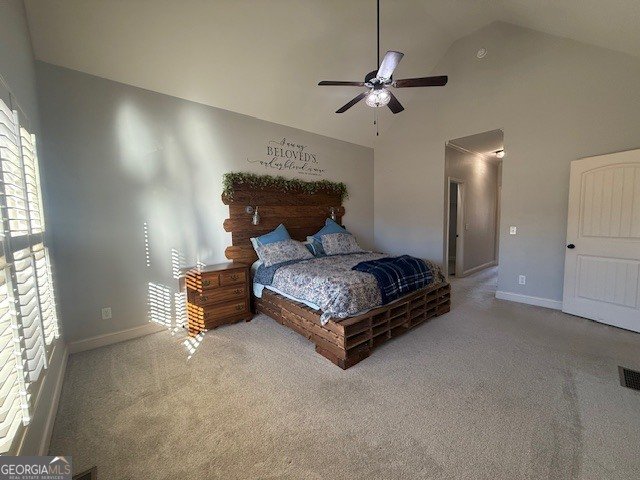 607 Black Hawk Lane Canton - Photo 21