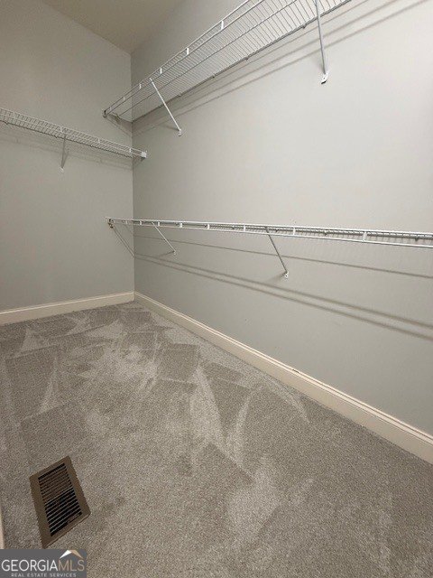 607 Black Hawk Lane Canton - Photo 24