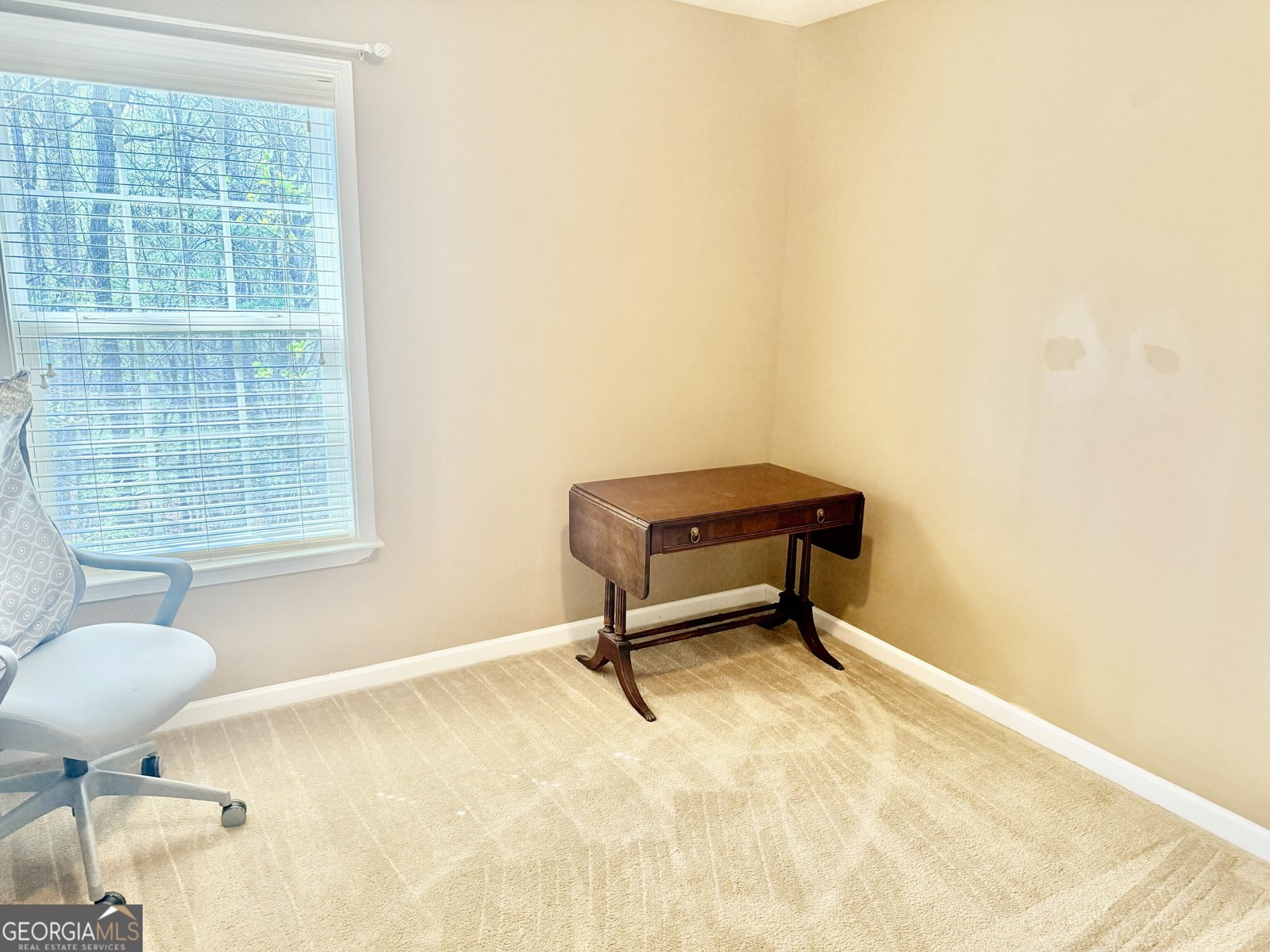 3481 Dianthus Lane Lawrenceville - Photo 28