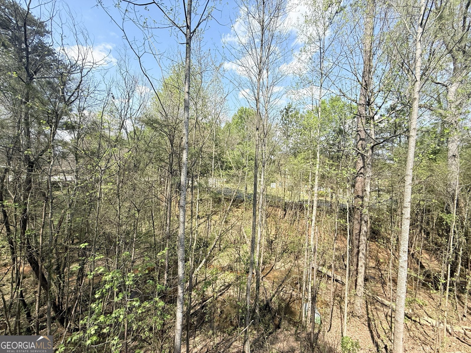 3481 Dianthus Lane Lawrenceville - Photo 37