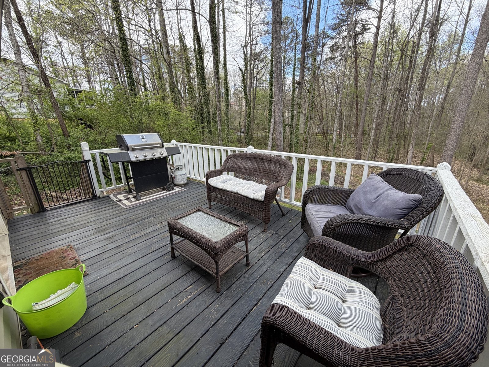 217 Cherokee Village Drive Ball Ground - Photo 31