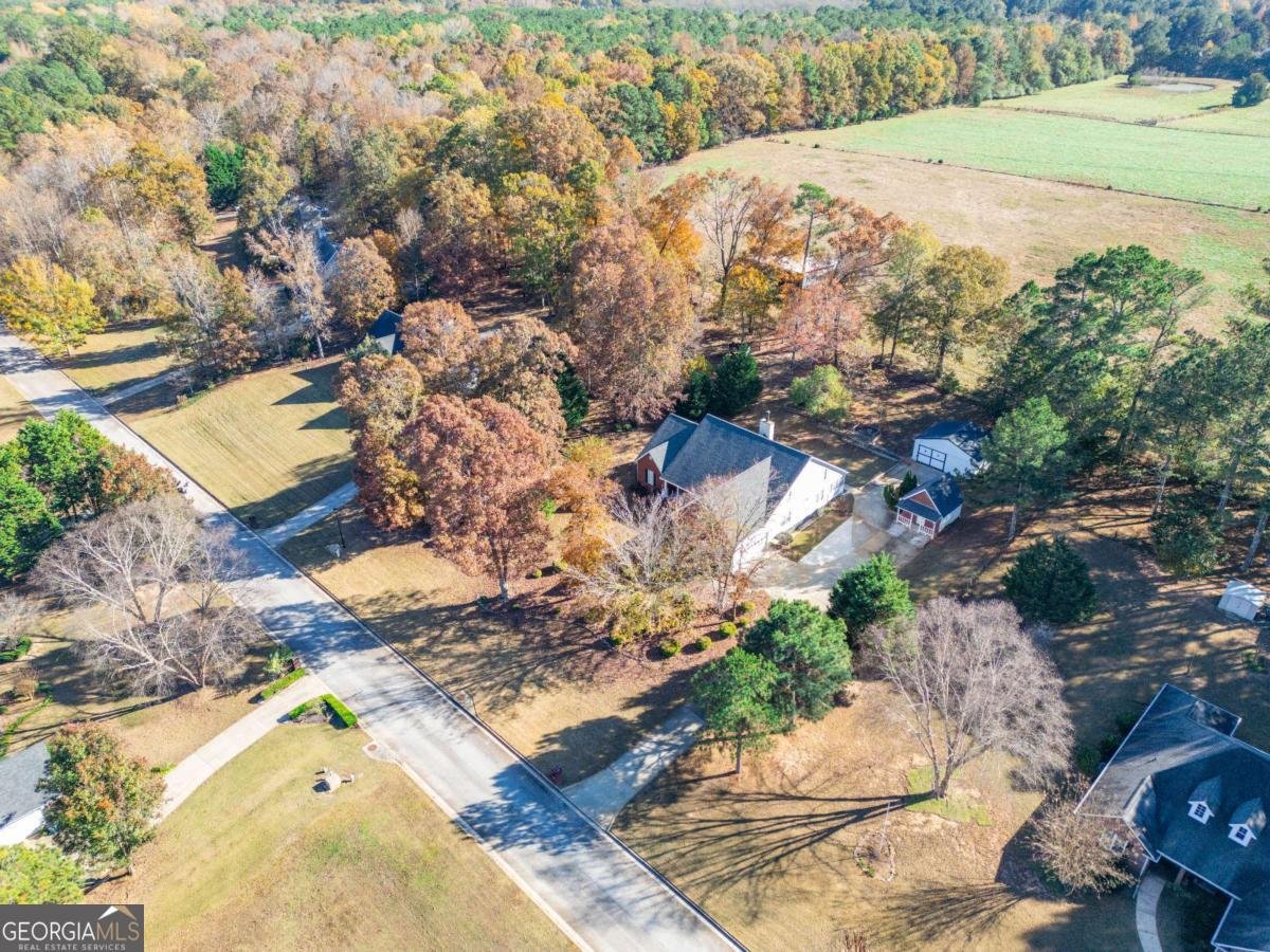 523 Barhams Ridge Drive Mcdonough - Photo 35