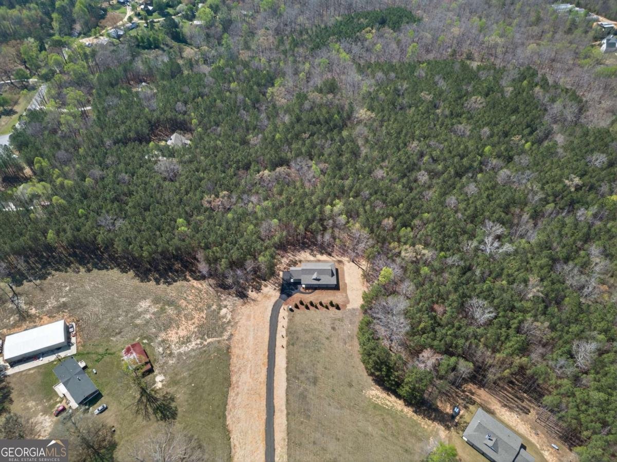 3512 Vinson Mountain Road Rockmart - Photo 45