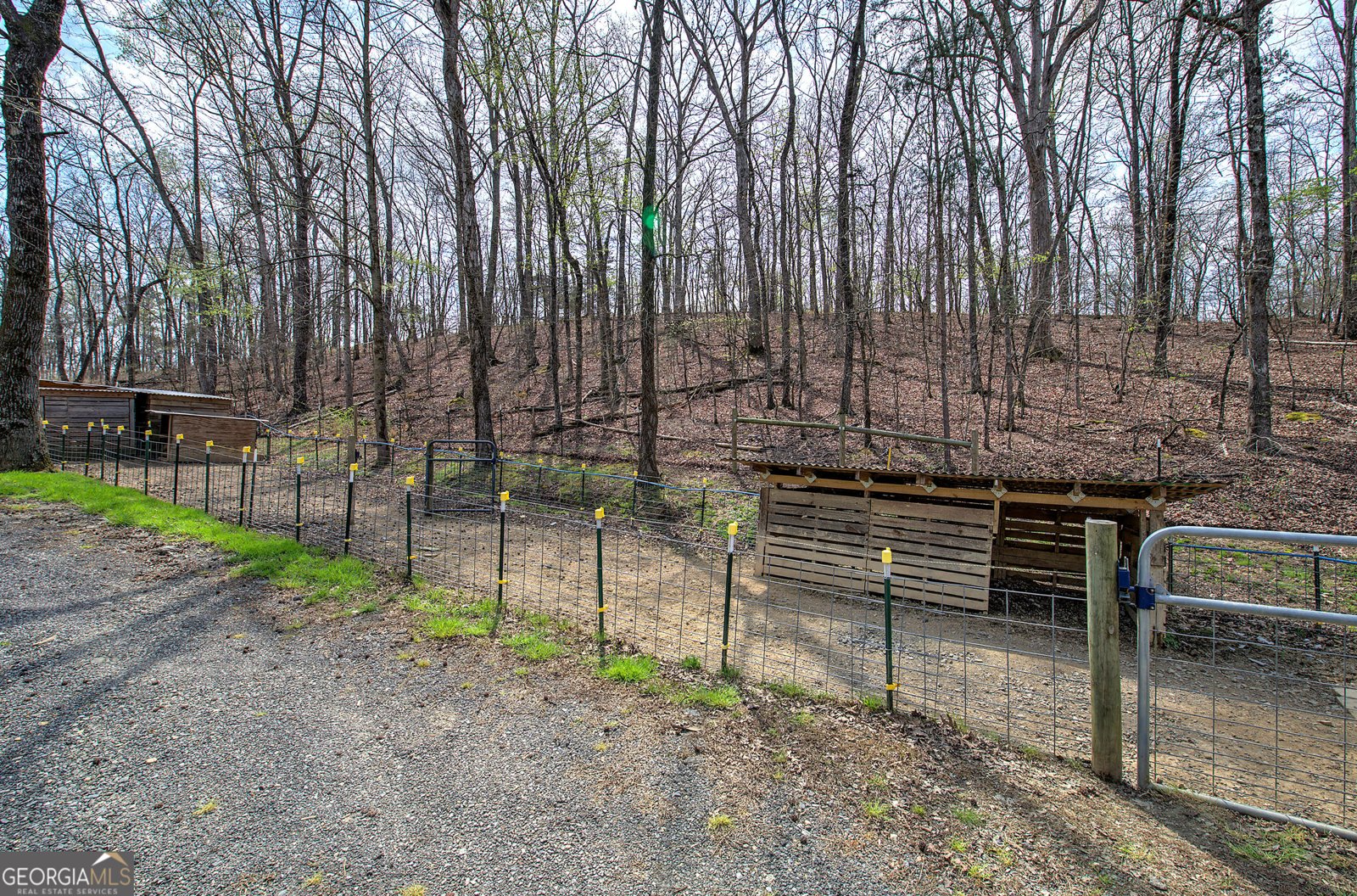 479 Red Bone Ridge Road Ranger - Photo 56