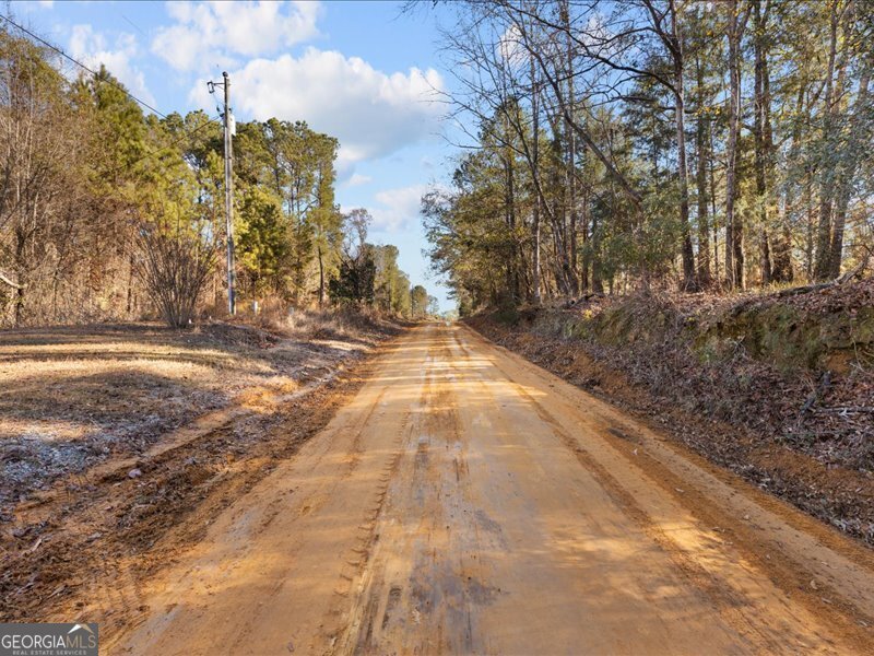 221 Sunset Point Road Fort Gaines - Photo 30