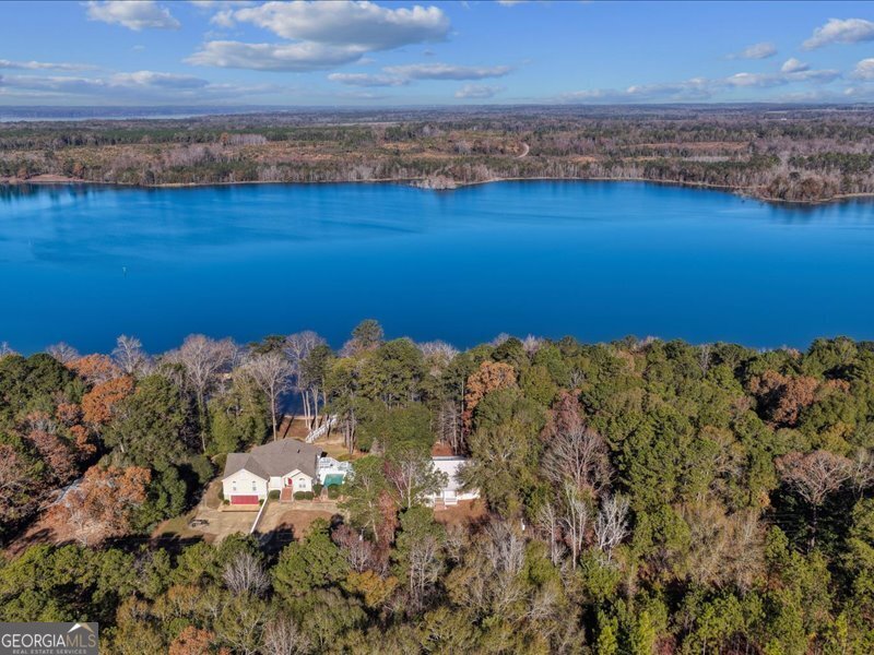 221 Sunset Point Road Fort Gaines - Photo 41