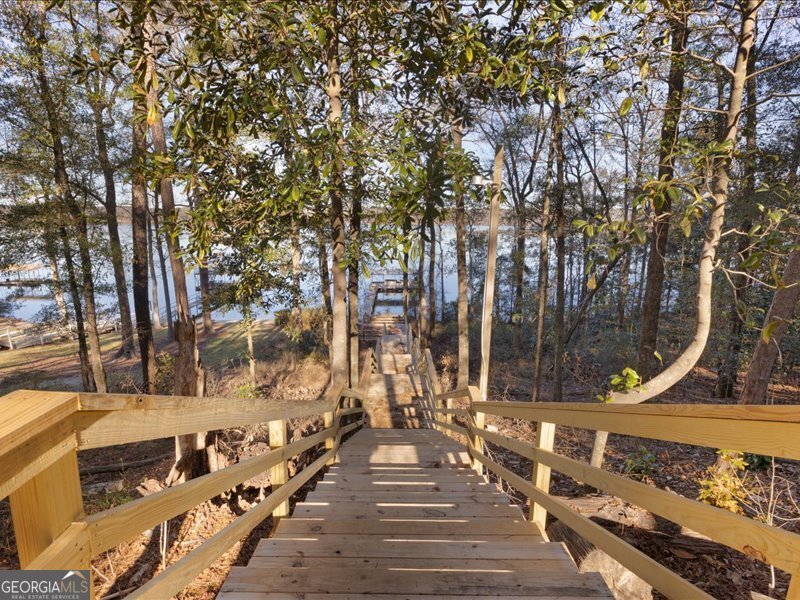 221 Sunset Point Road Fort Gaines - Photo 43
