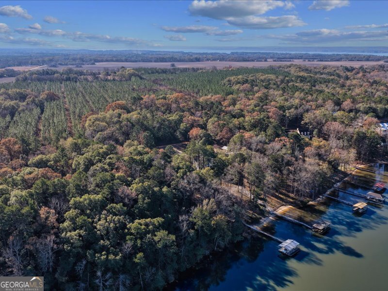 221 Sunset Point Road Fort Gaines - Photo 45