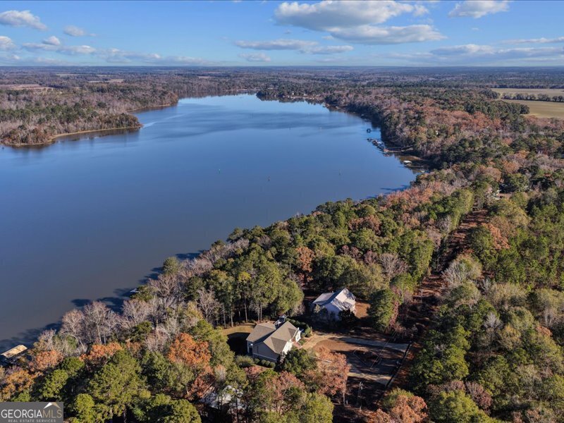 221 Sunset Point Road Fort Gaines - Photo 50