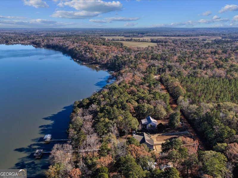 221 Sunset Point Road Fort Gaines - Photo 52