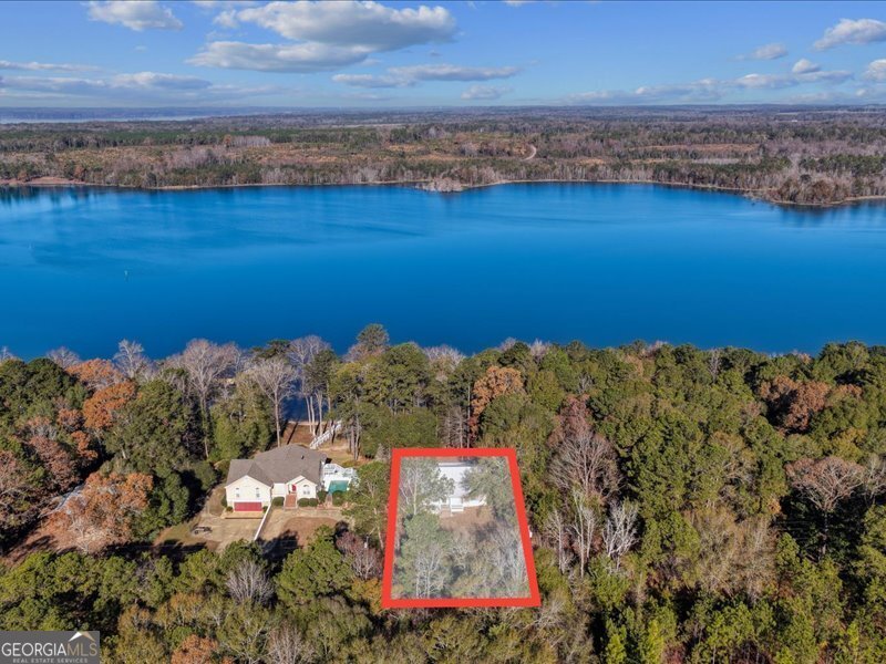 221 Sunset Point Road Fort Gaines - Photo 53