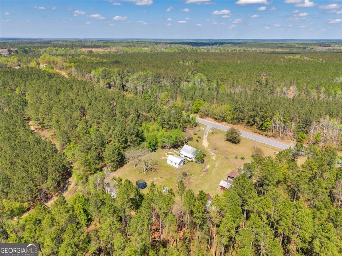 3613 S Highway 19 Dublin - Photo 47